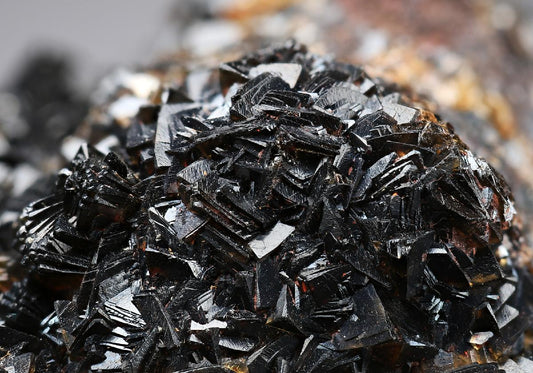 CC13541 specimen image