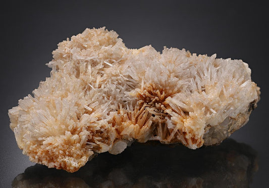 CC13550 specimen image