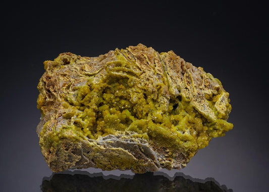 CC13551 specimen image