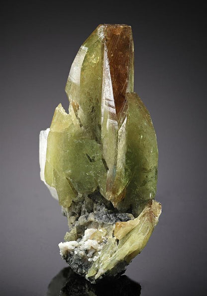 CC13563 specimen image