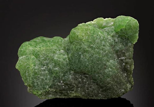 CC13587 specimen image