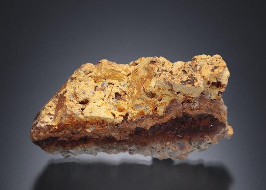 CC13595 specimen image