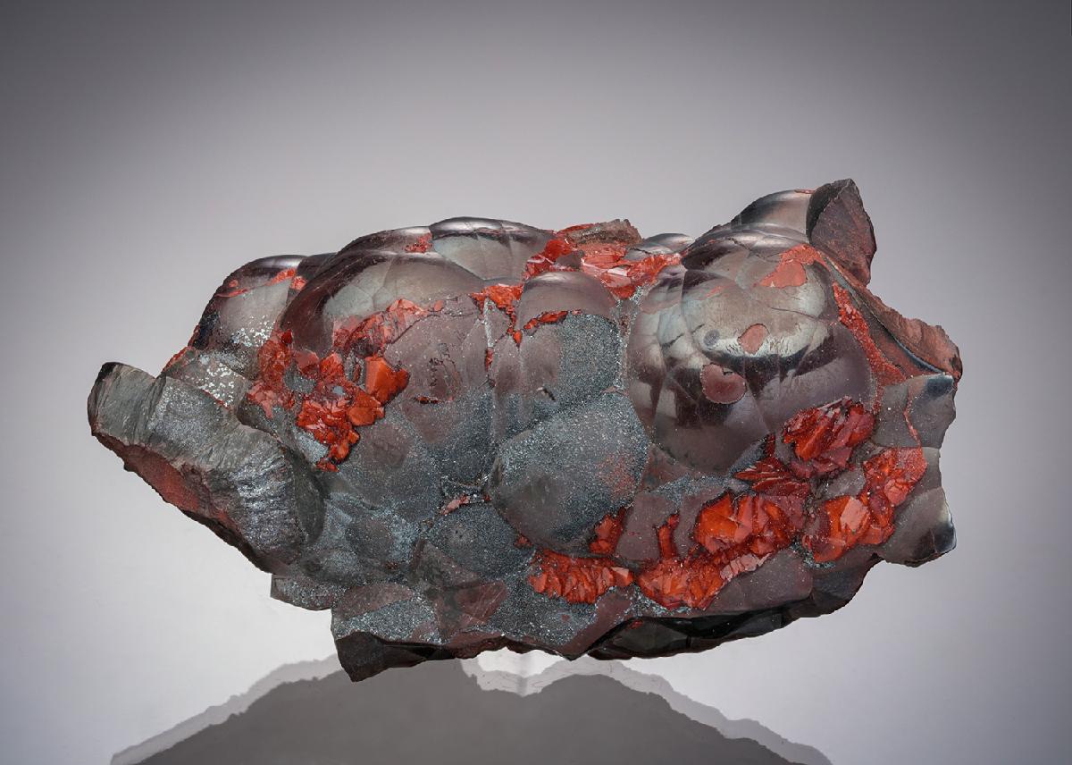 CC13610 specimen image