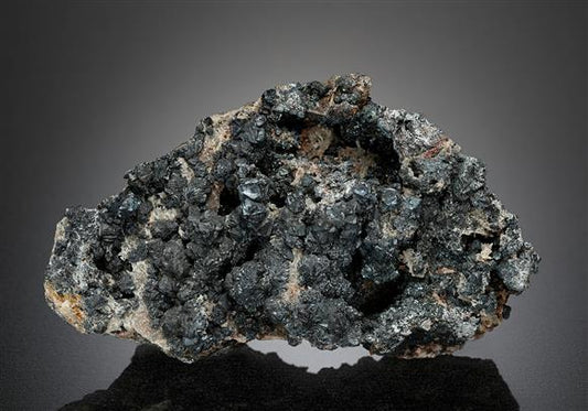 CC13613 specimen image