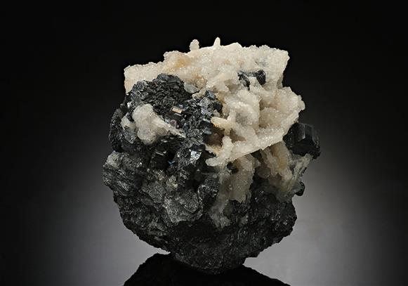 CC13614 specimen image