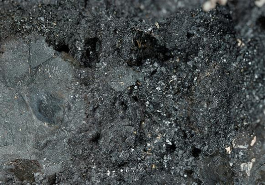 CC13625 specimen image