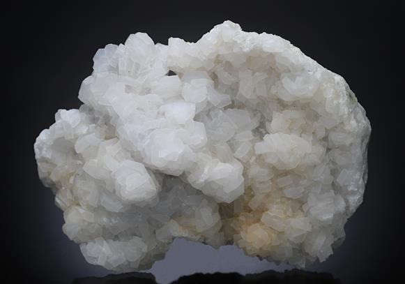 CC13633 specimen image