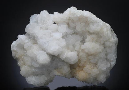 CC13633 specimen image