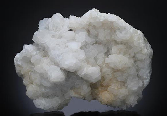 CC13633 specimen image