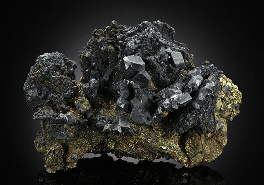 CC13643 specimen image