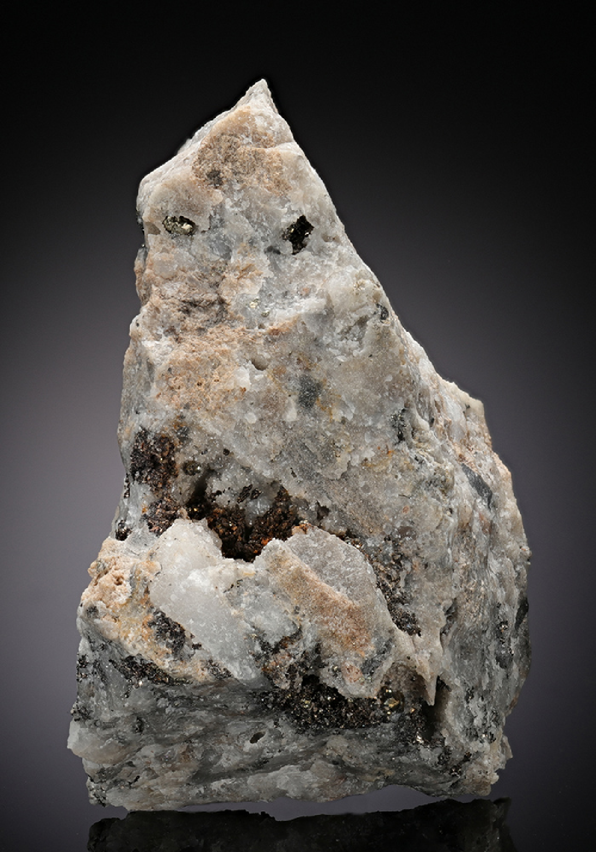 CC13644 specimen image