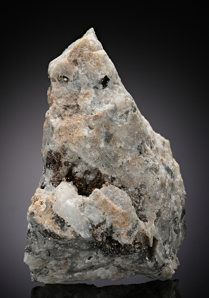 CC13644 specimen image