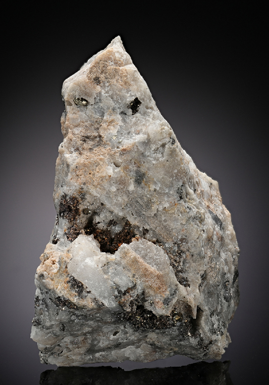 CC13644 specimen image
