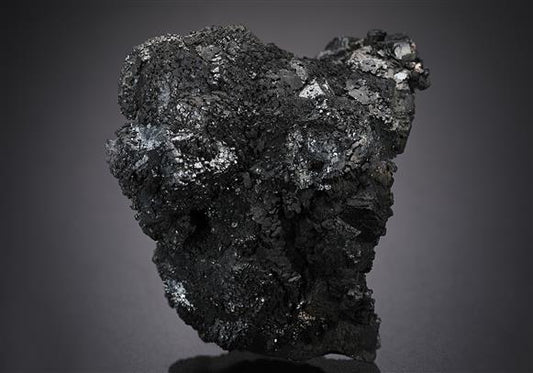 CC13655 specimen image