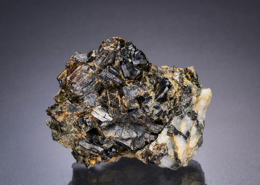 CC13663 specimen image