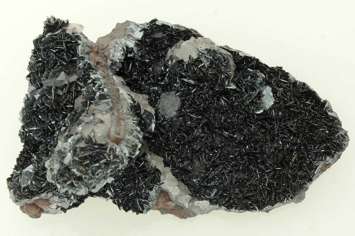 CC13678 specimen image
