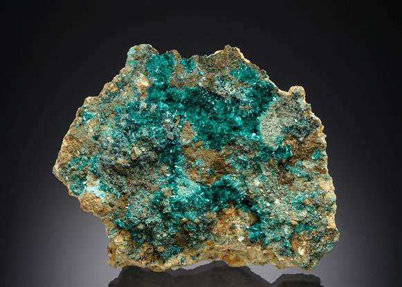 CC13684 specimen image
