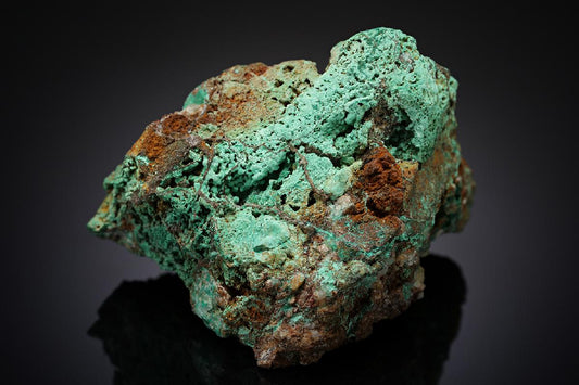 CC13691 specimen image