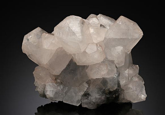 CC13713 specimen image