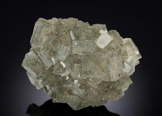 CC13716 specimen image