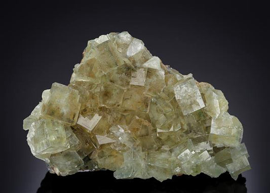 CC13723 specimen image