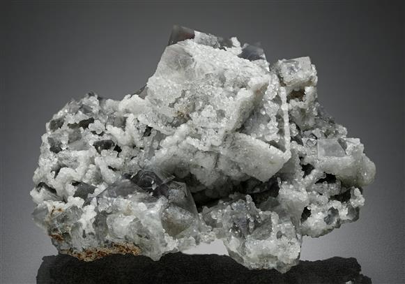 CC13726 specimen image