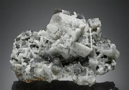 CC13726 specimen image