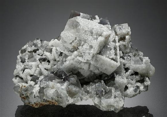 CC13726 specimen image