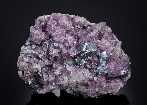 CC13735 specimen image