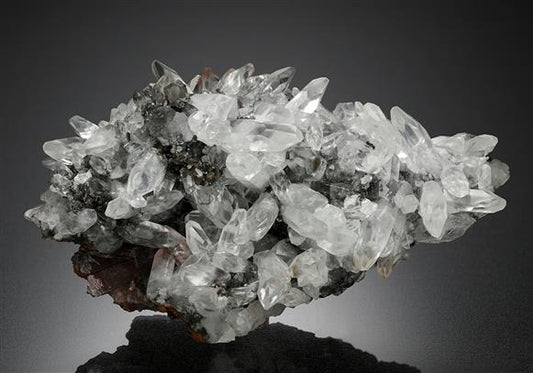 CC13738 specimen image