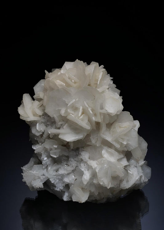 CC13751 specimen image