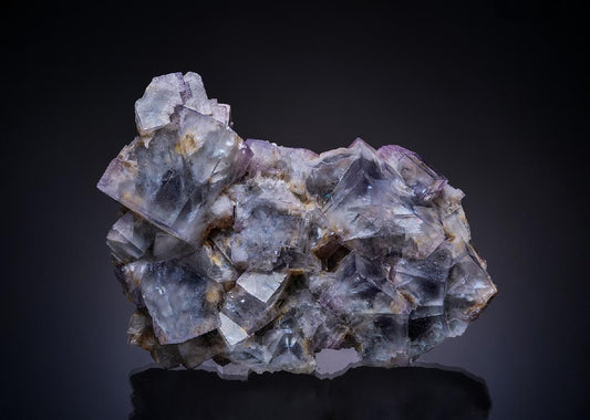 CC13758 specimen image