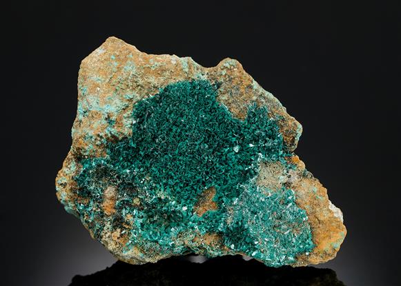 CC13801 specimen image