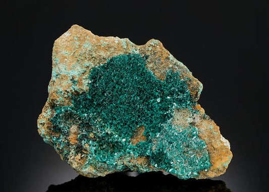 CC13801 specimen image