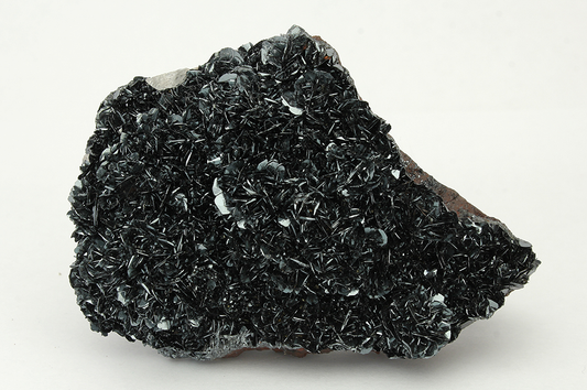 CC13812 specimen image