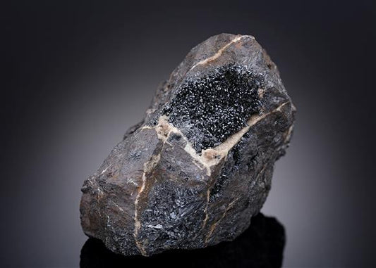 CC13817 specimen image