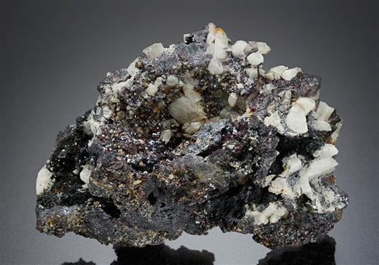 CC13831 specimen image
