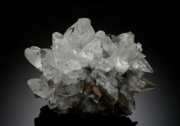 CC13848 specimen image