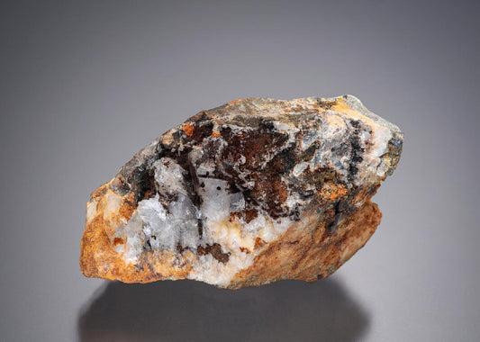 CC13865 specimen image