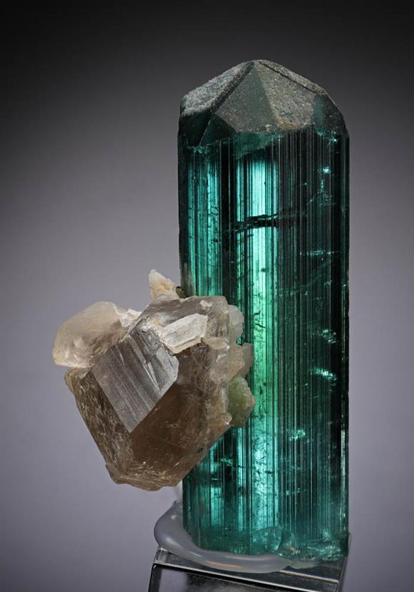 CC13881 specimen image
