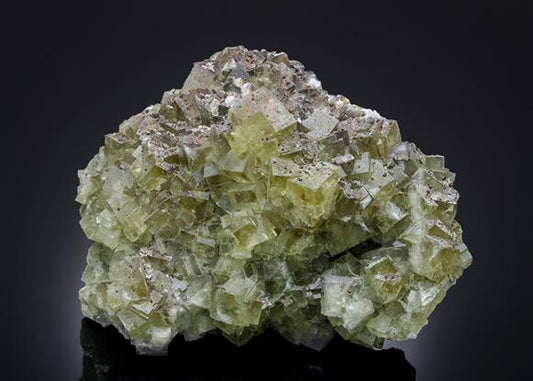 CC13922 specimen image