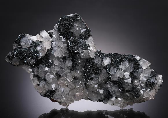 CC13930 specimen image