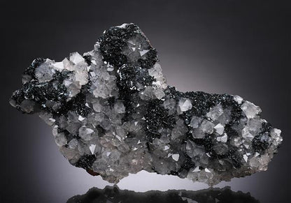 CC13930 specimen image