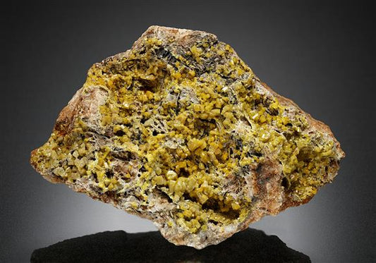 CC13932 specimen image