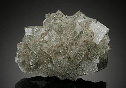 CC13941 specimen image