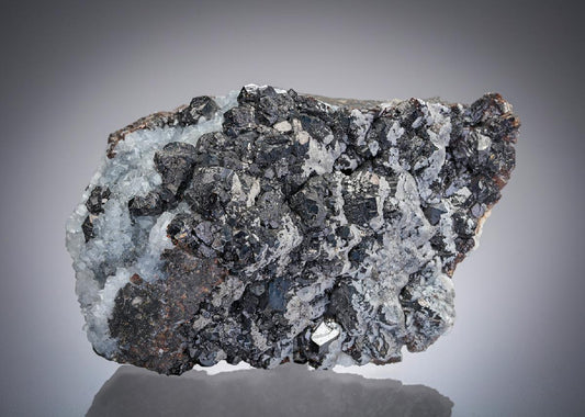 CC13957 specimen image