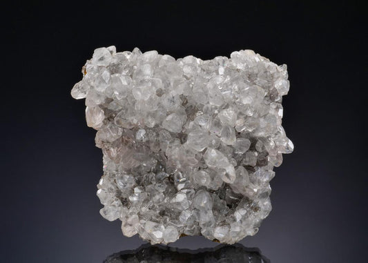 CC13959 specimen image