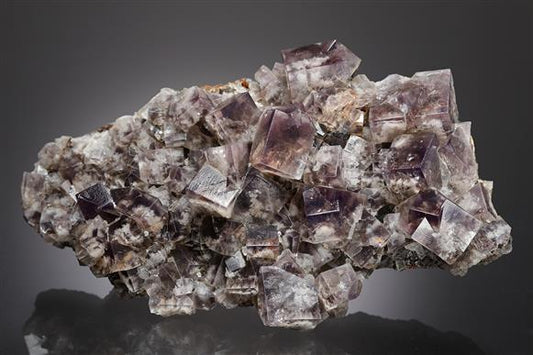 CC13960 specimen image