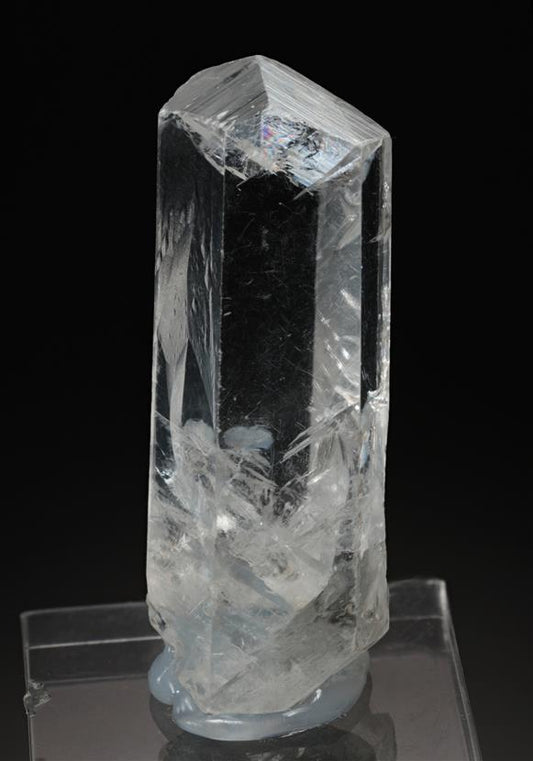CC13977 specimen image