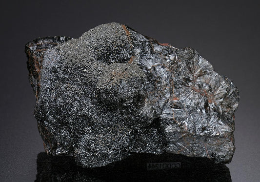 CC13989 specimen image
